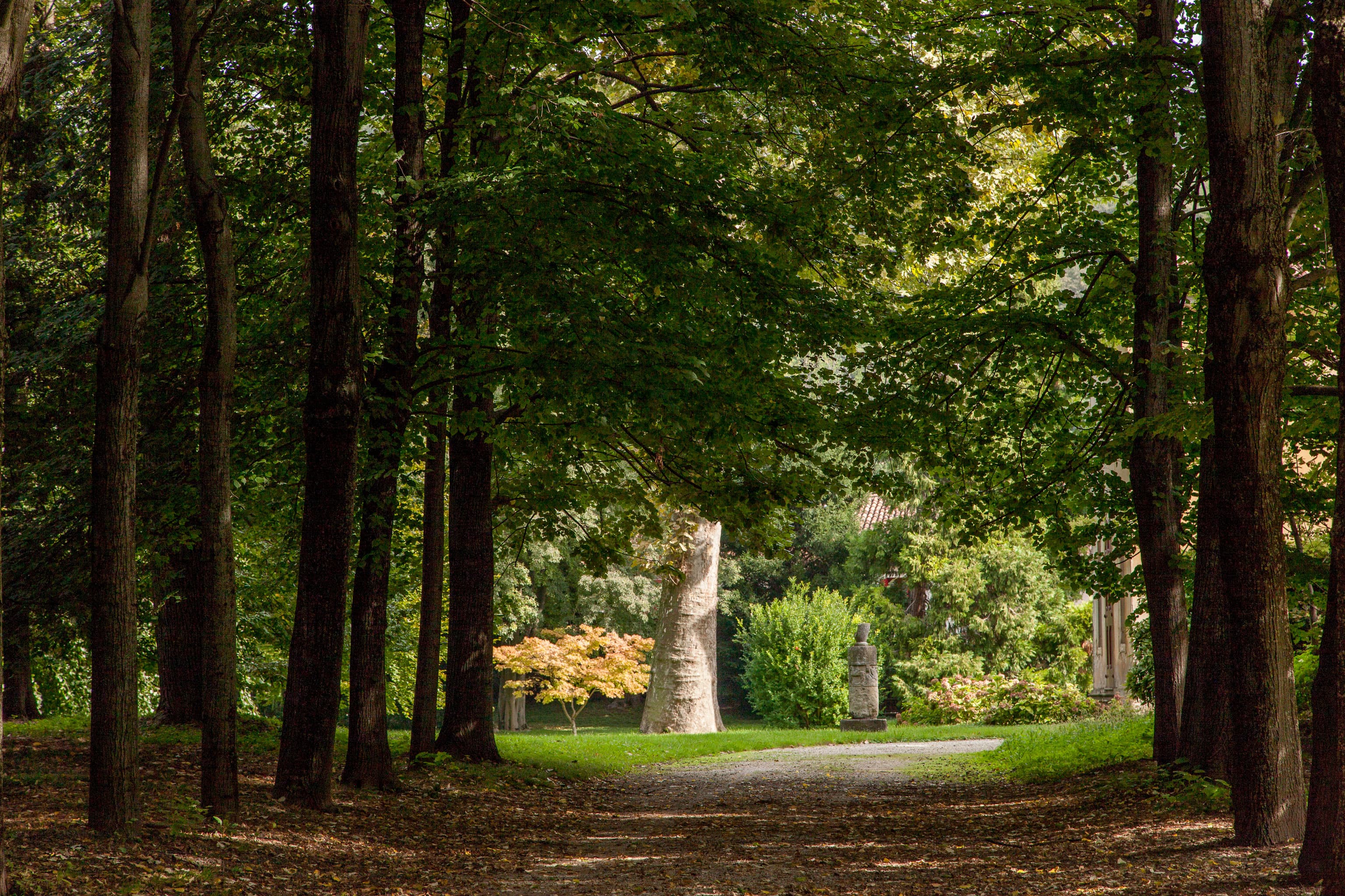 Golf course in the Euganean Hills